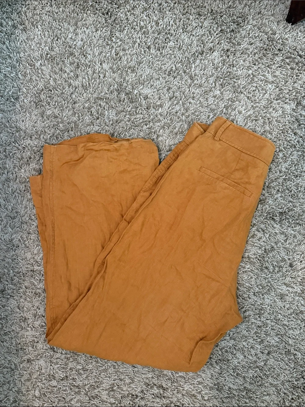 Everlane Size 8 100% Linen Wide Leg Pants Rust Orange High Rise